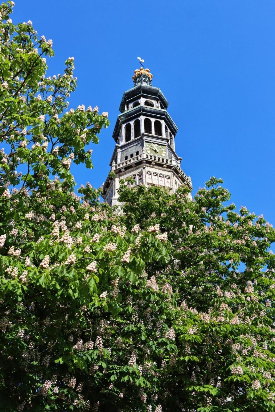 Anno 1706 Apartments Middelburg Exterior foto